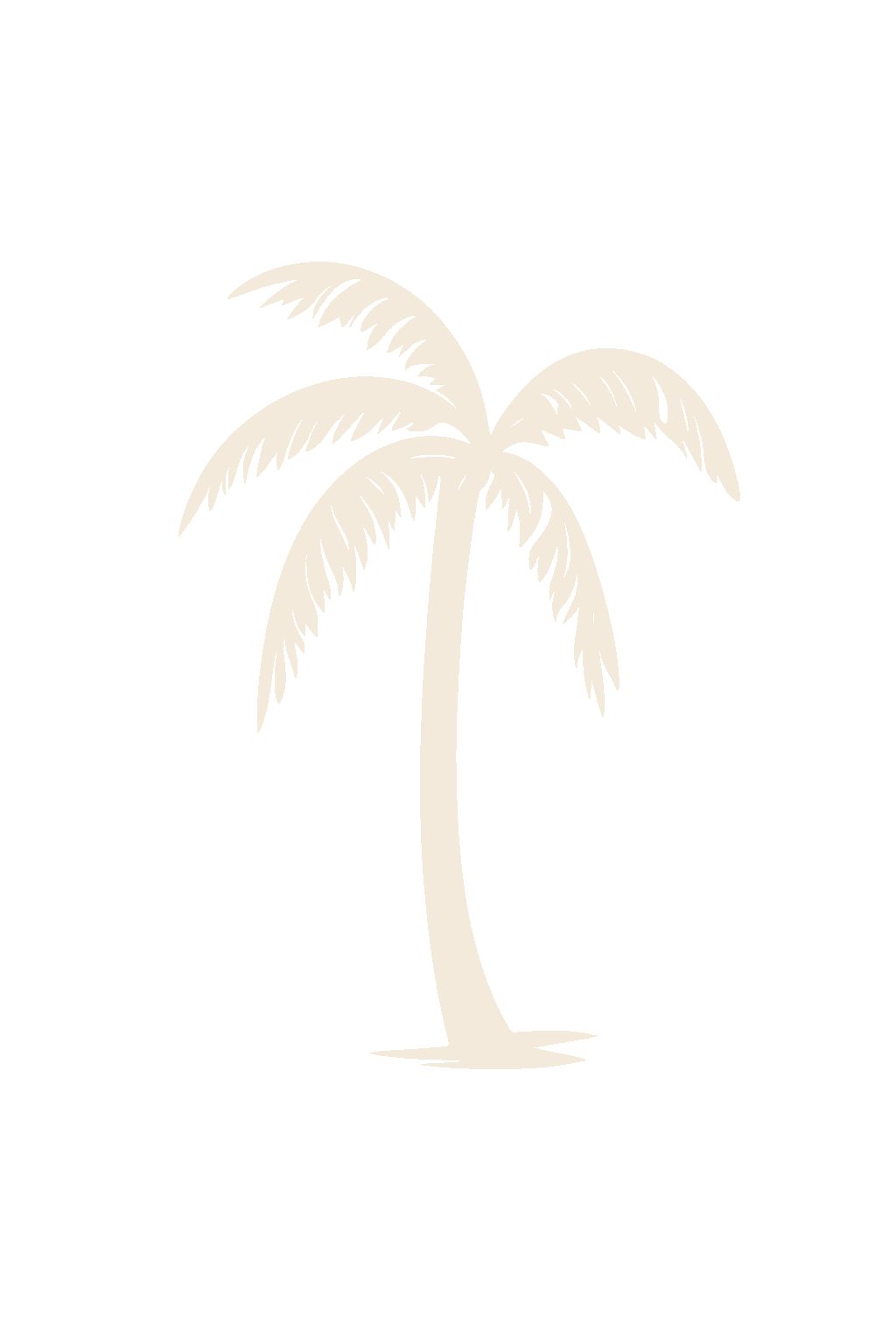 Palm Ad